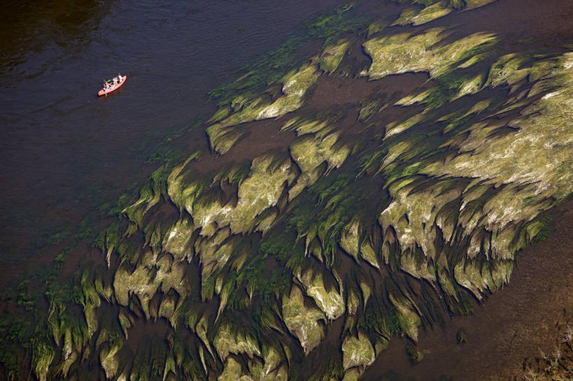 无人,横图,俯视,航拍,室外,白天,旅游,度假,河流,美景,水,船,法国,欧洲,一艘,阴影,波纹,光线,影子,河水,景观,水流,木船,涟漪,娱乐,倒影,水纹,阳光,自然,交通工具,波浪,享受,休闲,海藻,景色,放松,海草,倒映,舟,西欧,鸟瞰,法兰西,自然风光,载具,独木舟,法兰西共和国,阿基坦,水晕,法兰西第五共和国,独木船,反照,多尔多涅省,亚魁当,阿基坦大区,多尔多涅,彩图,高角度拍摄,萨拉拉卡内达区,卡斯泰尔诺拉沙佩尔