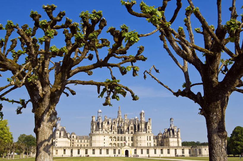 无人,家,横图,室外,白天,正面,旅游,度假,草地,草坪,名胜古迹,植物,标志建筑,地标,建筑,法国,欧洲,阴影,遗迹,光线,影子,堡垒,城堡,房屋,屋子,云,云朵,公寓,云彩,古迹,文物,娱乐,建设,古建筑,洋房,楼房,住宅,草,树,树木,蓝色,绿色,白云,蓝天,天空,阳光,自然,天,享受,休闲,旅游胜地,放松,生长,晴朗,成长,西欧,要塞,法兰西,古文明,法兰西共和国,法兰西第五共和国,设防,卢瓦尔.谢尔省,中央大区,香博堡,晴空,彩图,房子,香波尔城堡