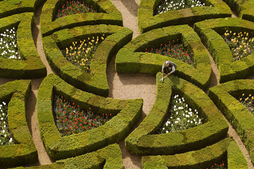 西方人,一个人,站,横图,俯视,室外,白天,旅游,度假,花海,花圃,名胜古迹,植物,标志建筑,道路,地标,建筑,路,叶子,法国,欧洲,欧洲人,仅一个男性,仅一个人,仅一个中年男性,握,阴影,服装,环保,遗迹,盛开,光线,影子,堡垒,城堡,小路,防护,交通,拿,花蕾,拿着,休闲装,古迹,文物,娱乐,建设,古建筑,花,花瓣,花朵,花卉,鲜花,树,树木,衣服,绿色,阳光,自然,花丛,花束,花田,花苞,花蕊,站着,享受,休闲,休闲服,旅游胜地,放松,握着,服饰,生长,成长,西欧,要塞,美好,美妙,法兰西,间隔,古文明,法兰西共和国,首府,美观,雅观,法兰西第五共和国,图尔,维朗德里城堡,设防,安德尔.卢瓦尔省,绿篱,生篱,树篱,植篱,中央大区,男人,男性,中年男性,白种人,站立,彩图,高角度拍摄,全身