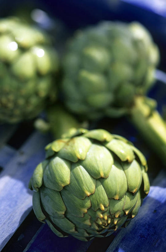 无人,竖图,俯视,室外,特写,白天,蔬菜,阴影,朦胧,模糊,新鲜,光线,影子,朝鲜蓟,食品,食物,三个,阳光,洋蓟,有机食品,绿色食品,彩图,高角度拍摄,菜蓟,法国百合,球洋蓟,蔬菜之皇,洋百合