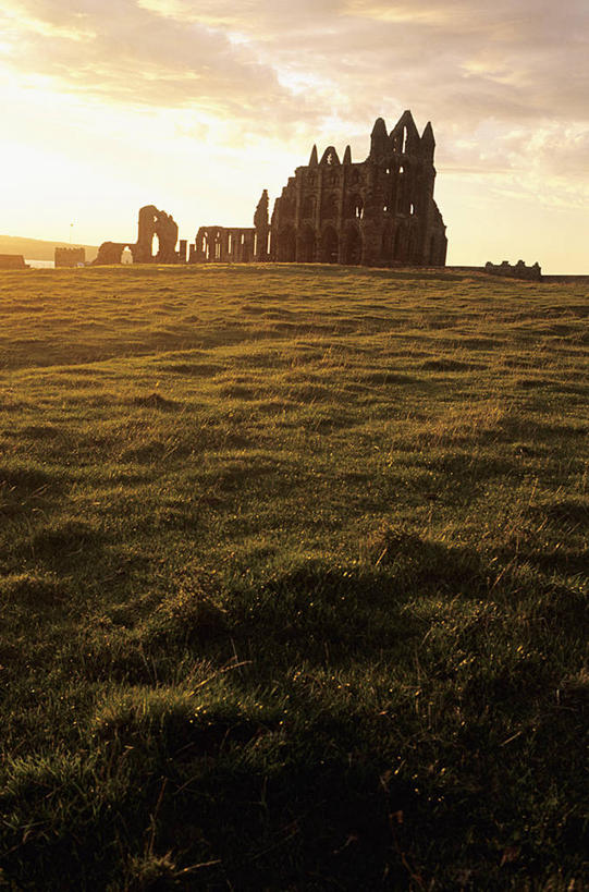 无人,农田,竖图,室外,白天,正面,旅游,度假,庄稼,农作物,草地,草坪,名胜古迹,日落,植物,标志建筑,地标,建筑,英国,欧洲,节日,遗迹,晚霞,霞光,落日,古迹,文化,文物,娱乐,建设,古建筑,英格兰,草,绿色,黄昏,祈祷,享受,休闲,健康,旅游胜地,彩霞,放松,许愿,宗教,信仰,纪念,祈求,基督教,西欧,天主教,修道院,大不列颠,信念,古文明,大不列颠及北爱尔兰联合王国,约克郡,夕照,英吉利,薄暮,惠特比修道院,惠特比镇,神学院,修院,隐修院,平安,夕阳,彩图,耕地,庄稼田,傍晚,约克郡.亨伯,大不列颠王国,大英帝国,联合王国,日不落帝国,斜阳