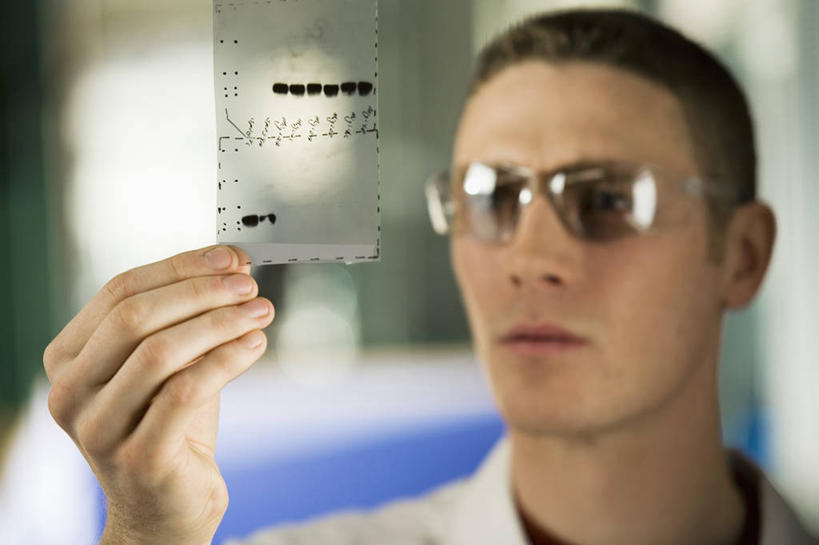 西方人,头发,一个人,医生,横图,室内,特写,白天,正面,安全,欧洲,欧洲人,仅一个男性,仅一个人,握,阴影,光线,眼镜,影子,防护,拿,拿着,注视,仅一个年轻男性,黑色,阳光,观察,看,医护人员,医疗人员,握着,观看,护目镜,保护,察看,脱氧核糖核酸,白大褂,关注,保险,影片,保全,周全,安稳,安定,安全防护眼镜,平安,男人,男性,年轻男性,白种人,大夫,半身,彩图,防护眼镜,短发