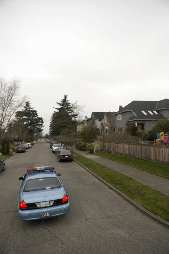 无人,家,竖图,俯视,室外,白天,度假,草地,草坪,美景,植物,别墅,城市风光,城市,道路,路,公路,汽车,警车,房屋,屋子,景观,公寓,交通,娱乐,洋房,楼房,住宅,车,草,树,树木,绿色,自然,交通工具,轿车,享受,休闲,景色,放松,生长,成长,载具,马路,彩图,高角度拍摄,房子