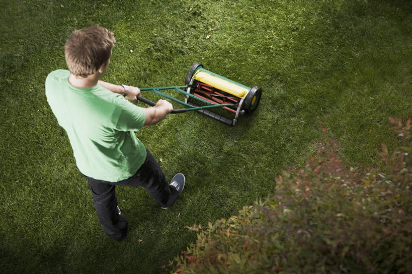 西方人,一个人,走,推,横图,俯视,室外,白天,草地,草坪,植物,欧洲,欧洲人,仅一个男性,仅一个人,阴影,服装,光线,工具,影子,休闲装,草,树,树木,仅一个年轻男性,衣服,绿色,阳光,自然,休闲,休闲服,器械,服饰,生长,成长,割草机,园艺师,切割,锄草,农具,耕具,修整,男人,男性,年轻男性,白种人,步行,散步,走路,彩图,高角度拍摄,全身