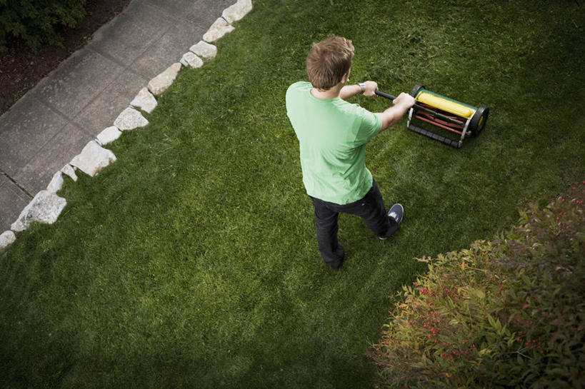 西方人,一个人,走,推,横图,俯视,室外,白天,草地,草坪,植物,道路,路,欧洲,欧洲人,仅一个男性,仅一个人,阴影,服装,光线,工具,影子,小路,交通,休闲装,草,树,树木,仅一个年轻男性,衣服,绿色,阳光,自然,休闲,休闲服,器械,服饰,生长,成长,割草机,园艺师,切割,锄草,农具,耕具,修整,男人,男性,年轻男性,白种人,步行,散步,走路,彩图,高角度拍摄,全身