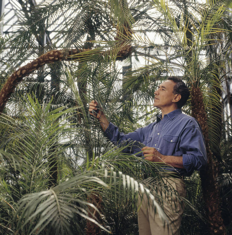 西方人,头发,一个人,站,竖图,室外,白天,正面,植物,棕榈树,叶子,欧洲,欧洲人,仅一个男性,仅一个人,仅一个中年男性,握,阴影,服装,光线,影子,绿叶,拿,拿着,注视,休闲装,树,树木,衣服,绿色,黑色,阳光,自然,观察,看,站着,休闲,休闲服,嫩叶,握着,服饰,生长,成长,观看,察看,园艺师,关注,棕榈叶,男人,男性,中年男性,白种人,叶,叶片,站立,半身,彩图,短发