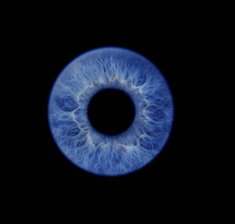 无人,竖图,室内,特写,白天,正面,黑色背景,纹路,纹理,蓝色,摄影,影棚,眼珠,肌理,彩图,影棚拍摄,拍摄