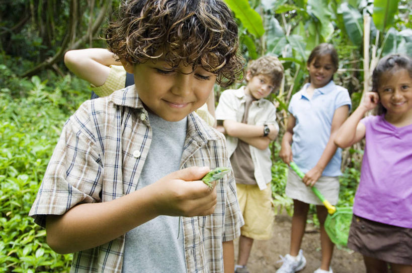 西方人,儿童,站,双手交叉,横图,室外,白天,正面,草地,草坪,植物,道路,路,野生动物,蜥蜴,叶子,欧洲,欧洲人,五个人,握,阴影,服装,光线,影子,小路,绿叶,捕虫网,交通,许多人,拿,拿着,注视,休闲装,芭蕉树,草,树,树木,一只,小孩,衣服,绿色,阳光,自然,动物,观察,看,站着,一群人,休闲,休闲服,嫩叶,握着,服饰,乡间小路,生长,成长,观看,扫网,水网,察看,双手抱胸,关注,石龙子,泉龙,猪婆蛇,四脚蛇,扑网,蜴,男孩,男人,男性,女孩,女人,女性,白种人,叶,叶片,站立,半身,彩图,男生,女生
