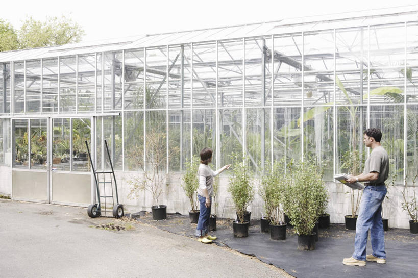 西方人,两个人,站,走,横图,室外,白天,正面,植物,玻璃,欧洲,欧洲人,一排,许多,握,服装,整齐,盆栽,推车,盆景,很多,拿,温室,拿着,注视,休闲装,玻璃制品,树,树木,排列,衣服,蓝色,绿色,蓝天,天空,自然,天,观察,看,站着,休闲,休闲服,握着,服饰,生长,晴朗,成长,观看,察看,园艺师,队列,关注,万里无云,男人,男性,女人,女性,中年男性,中年女性,白种人,晴空,晴空万里,步行,散步,站立,走路,彩图,全身