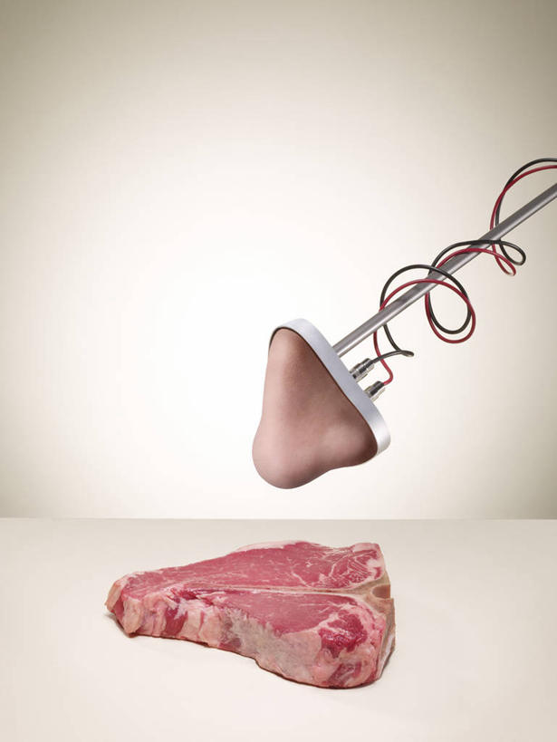 鼻子,无人,竖图,俯视,室内,特写,白天,一块,阴影,检查,电力,光线,电线,线,影子,肉,牛肉,电能,线路,肉类,摄影,影棚,电,仔细,电源,电源线,能量,肉食,细心,细致,搜检,查察,查抄,检察,审查,认真,鼻,鼻孔,彩图,高角度拍摄,影棚拍摄,拍摄