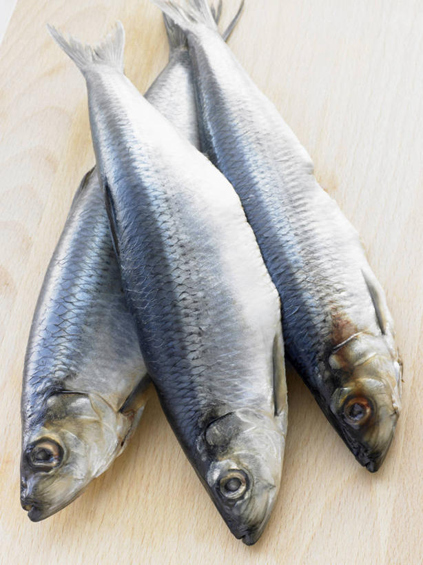 海鲜,无人,躺,竖图,俯视,室内,特写,白天,餐桌,桌子,阴影,光线,影子,注视,水产,海洋生物,观察,看,三条,餐台,观看,鲱鱼,察看,关注,水生动物,海产品,水生物,海底动物,太平洋鲱鱼,卧着,躺着,卧,彩图,高角度拍摄,全身