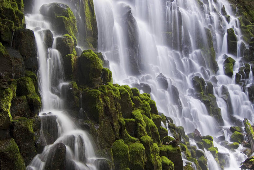 无人,公园,横图,室外,白天,正面,旅游,度假,石头,美景,瀑布,山,山脉,水,植物,美国,阴影,飞溅,溅,光线,石子,液体,影子,景观,山峰,水滴,山峦,娱乐,水珠,树,树木,绿色,阳光,自然,群山,享受,休闲,景色,放松,生长,成长,北美,北美洲,国家公园,喷洒,自然风光,美洲,俄勒冈州,俄勒冈,北亚美利加洲,亚美利加洲,落日之州,水獭之州,海狸州,国家森林公园,胡德山,胡德山国家森林公园,跌水,石块,岩石,彩图