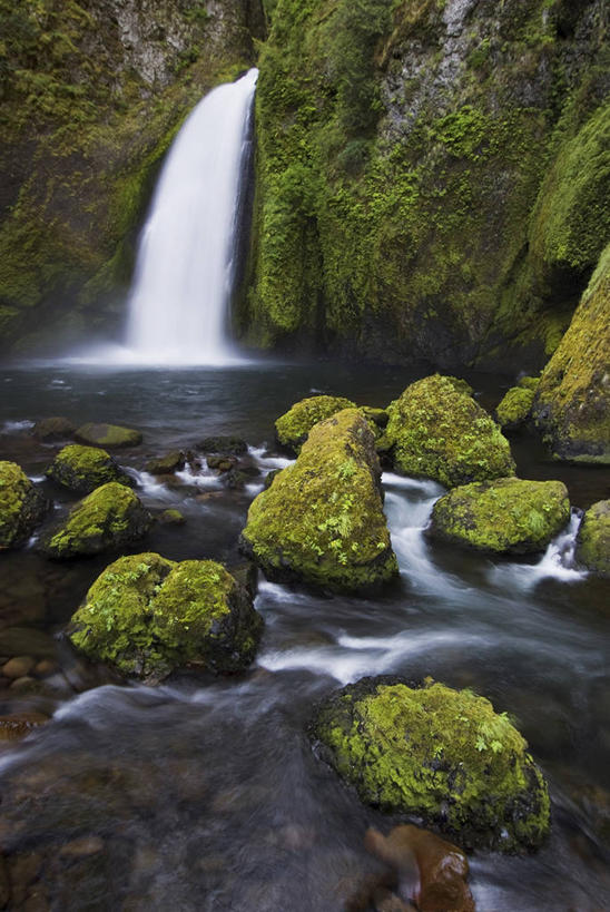 无人,横图,室外,白天,正面,旅游,度假,草地,草坪,河流,石头,美景,水,植物,美国,阴影,波纹,光线,石子,影子,高地,河水,景观,水流,涟漪,娱乐,草,树,树木,绿色,倒影,水纹,阳光,自然,波浪,享受,休闲,景色,放松,生长,成长,倒映,北美,北美洲,自然风光,美洲,河谷,俄勒冈州,哥伦比亚河谷,俄勒冈,水晕,北亚美利加洲,亚美利加洲,落日之州,水獭之州,海狸州,哥伦比亚谷,哥伦比亚山谷,反照,石块,岩石,彩图
