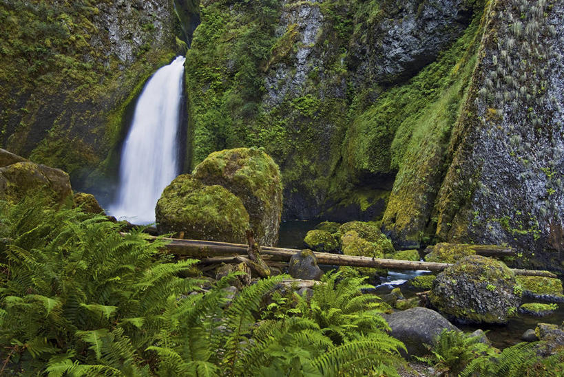 无人,横图,室外,白天,仰视,旅游,度假,草地,草坪,石头,美景,瀑布,山,山脉,水,植物,美国,阴影,飞溅,溅,光线,石子,液体,影子,高地,景观,山峰,水滴,青苔,苔藓,山峦,娱乐,水珠,草,绿色,阳光,自然,群山,享受,休闲,景色,放松,北美,北美洲,喷洒,自然风光,美洲,河谷,俄勒冈州,哥伦比亚河谷,俄勒冈,北亚美利加洲,亚美利加洲,落日之州,水獭之州,海狸州,哥伦比亚谷,哥伦比亚山谷,跌水,石块,岩石,彩图,低角度拍摄