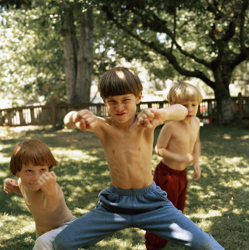 西方人,儿童,头发,三个人,栏杆,站,举,竖图,室外,白天,正面,纯洁,草地,草坪,植物,欧洲,欧洲人,阴影,短裤,光线,影子,栅栏,篱笆,围栏,护栏,草,树,树木,小孩,绿色,自然,托,站着,金色,可爱,童年,童趣,马步,生长,成长,童真,烂漫,无邪,天真,男孩,男人,男性,白种人,举起,举手,举着,向上举,向上伸,向上托,站立,半身,彩图,短发,男生