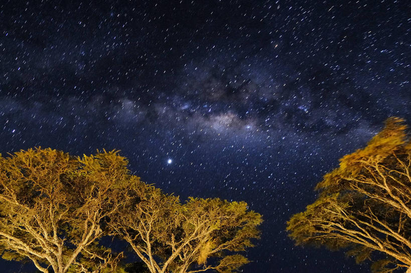 无人,横图,室外,夜晚,仰视,美景,非洲,坦桑尼亚,景观,星星,树,风景,天空,自然,景色,摄影,自然风光,银河系,阿鲁沙区,东非,恩戈罗恩戈罗保护区,恩戈罗恩戈罗自然保护区,坦桑尼亚联合共和国,金合欢树,彩图,低角度拍摄,恩戈罗恩戈罗火山口