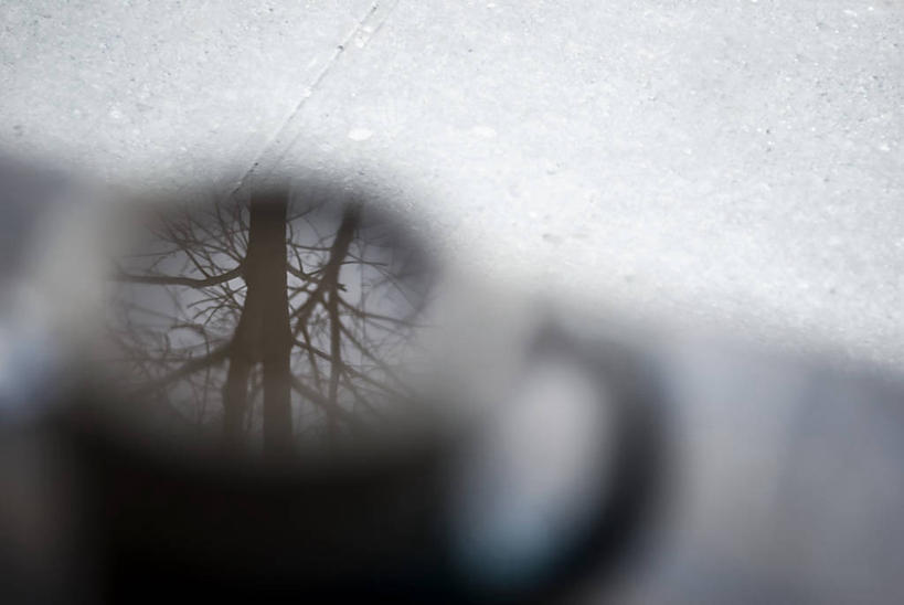 横图,室外,白天,反射,人行道,咖啡杯,一个,摄影,单个,皇后区,想法,秋天,彩图