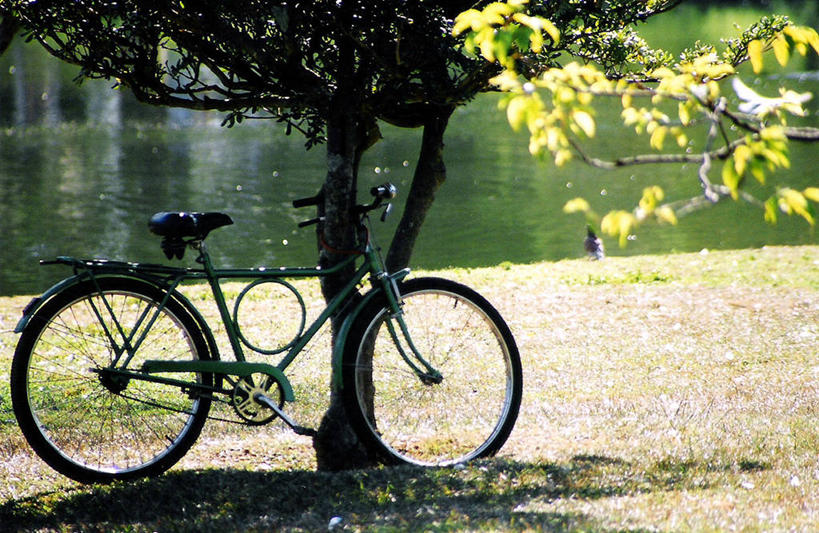 无人,公园,横图,室外,白天,草坪,湖,河流,自行车,巴西,河岸,枝,草,树,自然,夏天,运输,摄影,圣保罗,彩图