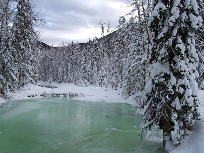 无人,横图,室外,白天,湖,树林,雪,加拿大,冬天,风景,寒冷,摄影,松木,大不列颠哥伦比亚,彩图