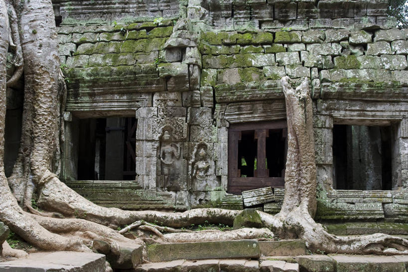 无人,横图,室外,白天,建筑,柬埔寨,雕像,根部,苔藓,废墟,树干,摄影,宗教,吴哥寺,塔普伦寺,古代文明,彩图,柬埔寨文化