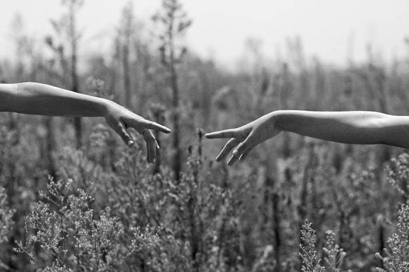 手,两个人,横图,黑白,室外,特写,白天,草地,以色列,朦胧,模糊,联系,草,自然,伸手,人体,摄影,奋斗,连续,协调,食指,持续,继续,陆续,想法,团结