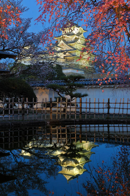 无人,竖图,室外,旅游,度假,美景,建筑,樱花,日本,日本文化,反射,城堡,池塘,景观,历史,娱乐,宝塔,树,自然,黄昏,地标建筑,享受,休闲,景色,放松,摄影,园林,照亮,自然风光,姬路,彩图,旅行