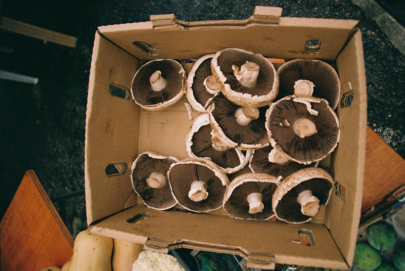 无人,横图,俯视,室内,白天,新加坡,许多,纸箱,蘑菇,生食,市场,很多,盒子,食用菌,摄影,清新,健康食物,彩图,高角度拍摄