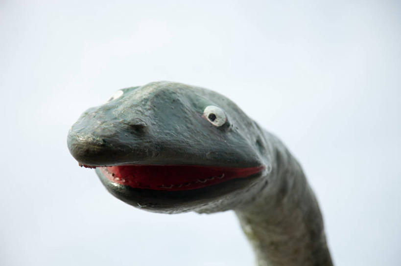 无人,横图,特写,白色背景,神秘,表演,摄影,幽默,想象,彩图,影棚拍摄