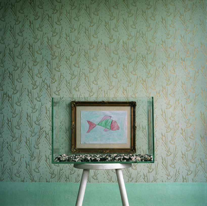 无人,横图,室内,白天,绘画,壁纸,宠物,艺术,鱼缸,首都,古典,文化,鱼类,工艺品,品味,摄影,吧椅,怀旧,美术,布达佩斯,创造力,高雅,美学,匈牙利共和国,式样,彩图