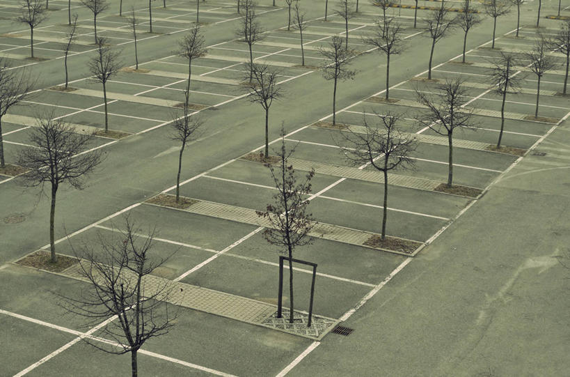 无人,停车场,横图,俯视,室外,白天,意大利,一排,整齐,分界线,树,排列,摄影,队列,都灵省,彩图,高角度拍摄