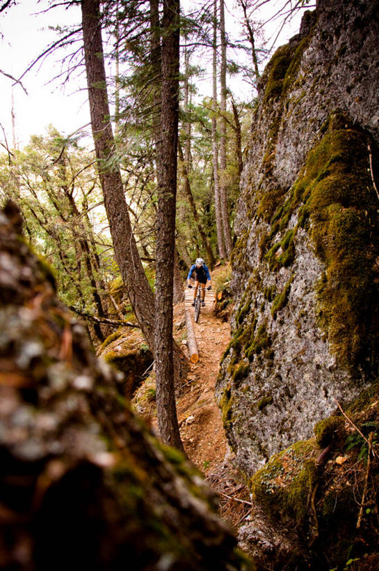 成年人,一个人,竖图,俯视,室外,白天,运动服,运动,森林,自行车,美国,仅一个男性,小路,山地车,车,脚踏车,树干,骑,交通工具,骑车,摄影,加利福尼亚,载具,自行车头盔,休闲活动,彩图,高角度拍摄