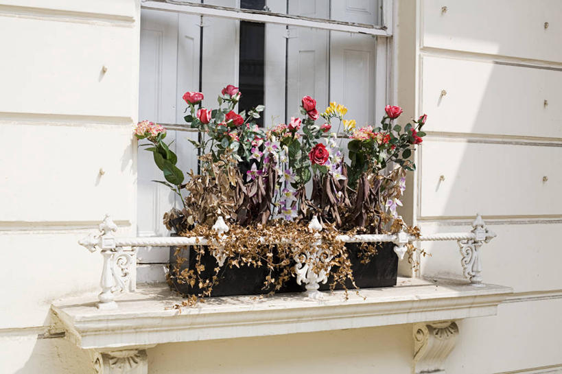 无人,横图,室外,白天,窗户,窗帘,城市,英国,装饰,首都,窗台,盒子,花,摄影,彩图