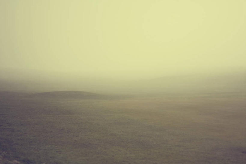 无人,横图,室外,白天,神秘,草坪,雾,英国,地形,高尔夫球场,草,黄色,绿色,摄影,彩图,景观设计