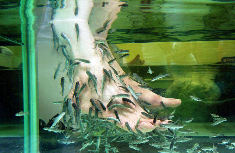 成年人,腿,一个人,站,横图,室内,化妆,美容,水,仅一个女性,护肤,透明,首都,鱼类,水族馆,保养,享受,休闲,放松,保健,人体,摄影,养颜,女人,彩图,SPA美容,修脚