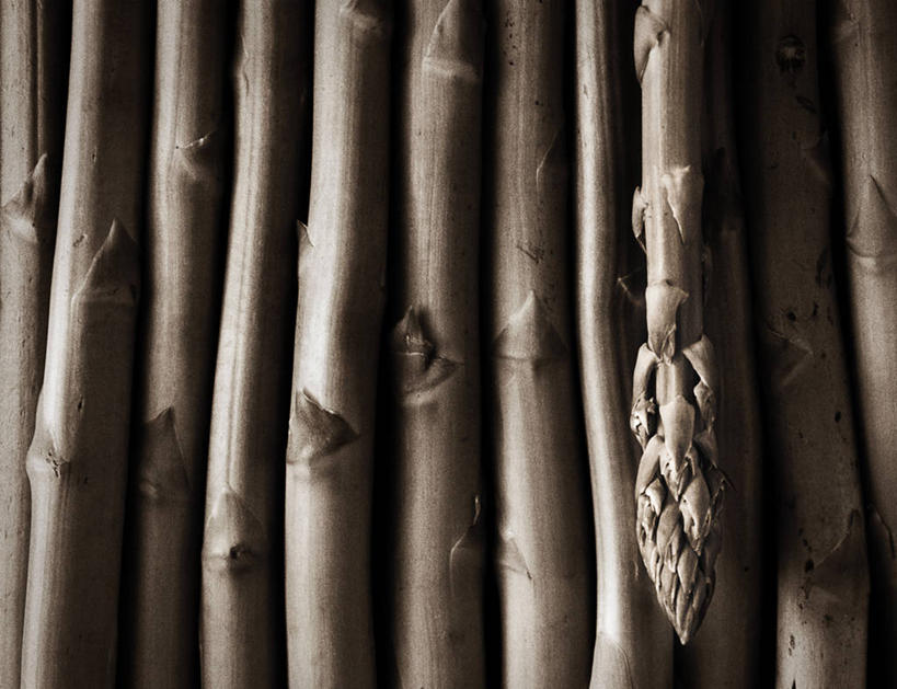 无人,横图,俯视,黑白,特写,芦笋,生食,摄影,堆,清新,健康食物,高角度拍摄,全画面,全框架,全帧,影棚拍摄,全画幅