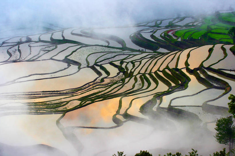 无人,横图,俯视,室外,白天,农业,梯田,美景,山,雾,日光,反射,景观,自然,景色,摄影,宁静,早晨,自然风光,元阳,式样,死水,彩图,高角度拍摄