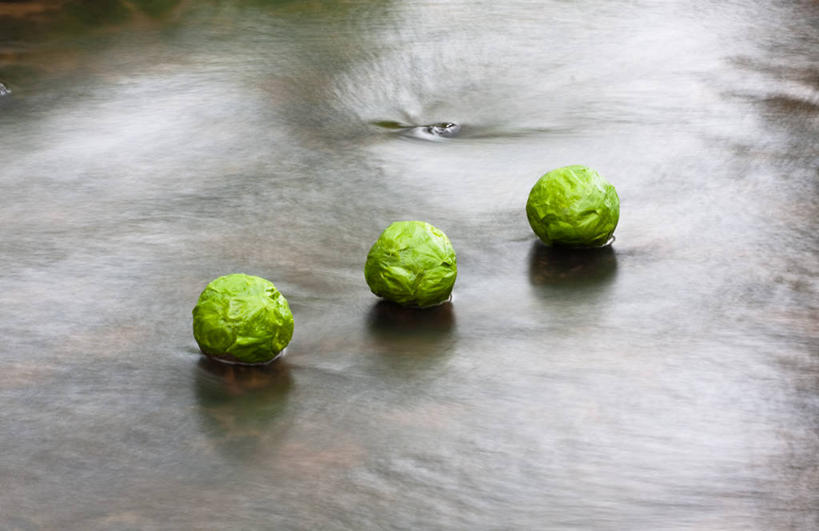 无人,横图,室外,白天,运动模糊,重复,静物,英国,一排,整齐,生食,排列,三个,绿色,摄影,队列,健康食物,纯净,球芽甘蓝,想法,彩图