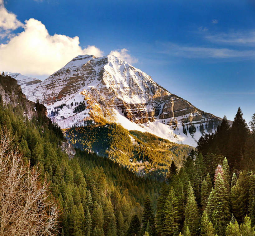无人,横图,室外,白天,森林,山,雪山,美国,地形,宏伟,风景,小溪,摄影,宁静,犹他,彩图