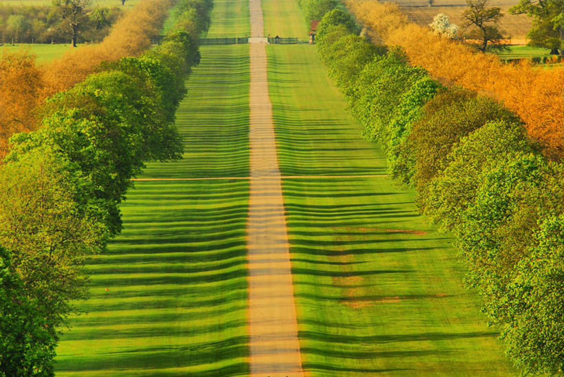 无人,公园,横图,俯视,室外,白天,草坪,英国,对称,小路,摄影,宁静,高雅,秋天,彩图,高角度拍摄,林荫大道,温莎公爵