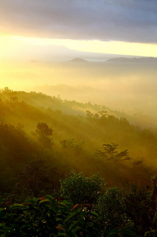 无人,竖图,室外,日出,山,印度尼西亚,树,风景,摄影,宁静,热带气候,早晨,热带雨林,日惹,彩图,雨林