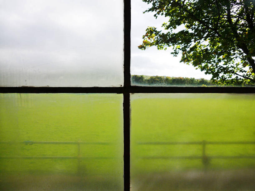 无人,横图,室内,白天,美景,英国,景观,枝,首都,树,自然,景色,摄影,宁静,窗框,自然风光,彩图,全画面,全框架,全帧,全画幅