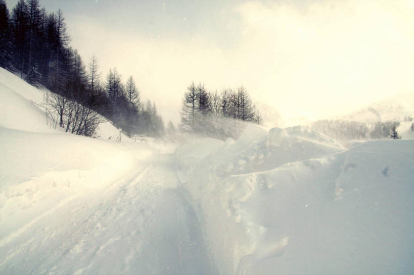 无人,横图,室外,白天,雪,法国,地形,冬天,白色,风景,摄影,宁静,阿尔卑斯山脉,常绿树,彩图