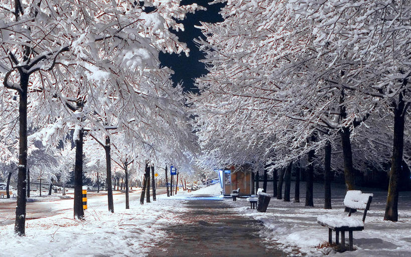 无人,公园,横图,室外,夜晚,消失点,雪,克罗地亚,冬天,人行道,小路,首都,寒冷,摄影,宁静,萨格勒布,彩图,林荫大道