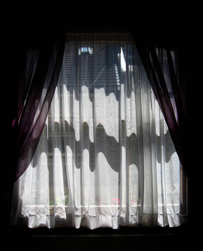 无人,竖图,室内,白天,窗户,窗帘,日光,英国,欧洲,英格兰,紫色,白色,摄影,保护,西欧,大不列颠,大不列颠及北爱尔兰联合王国,大不列颠及爱尔兰联合王国,萨塞克斯,萨塞克斯郡,苏塞克斯,东萨塞克斯郡,彩图,大不列颠王国,大英帝国,联合王国,日不落帝国,布赖顿