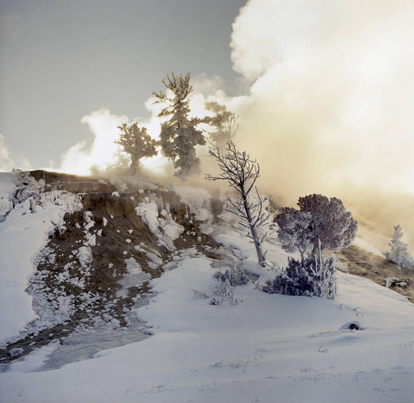 无人,横图,室外,白天,美景,温泉,雪,美国,蒸汽,景观,悬崖,云,树,天空,自然,景色,摄影,宁静,北美,北美洲,自然风光,美洲,黄石公园,北亚美利加洲,亚美利加洲,地质学,猛犸温泉,岩石,彩图,美利坚合众国