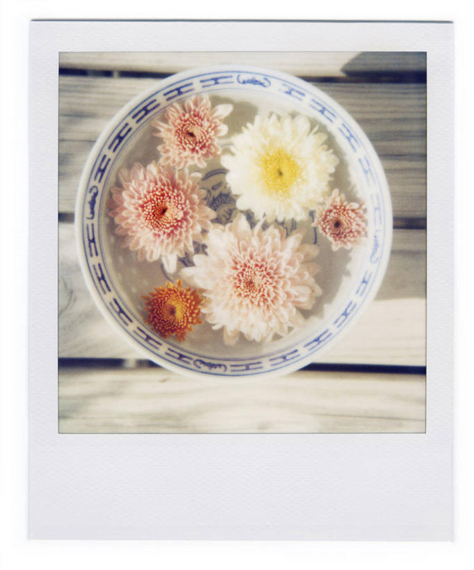 无人,竖图,俯视,室内,特写,白天,建材,水,建筑,日光,德国,漂浮,材料,木板,木材,木柴,花,碗,菊花,摄影,建造,木料,多样,脆弱,清新,多特蒙德,彩图,高角度拍摄