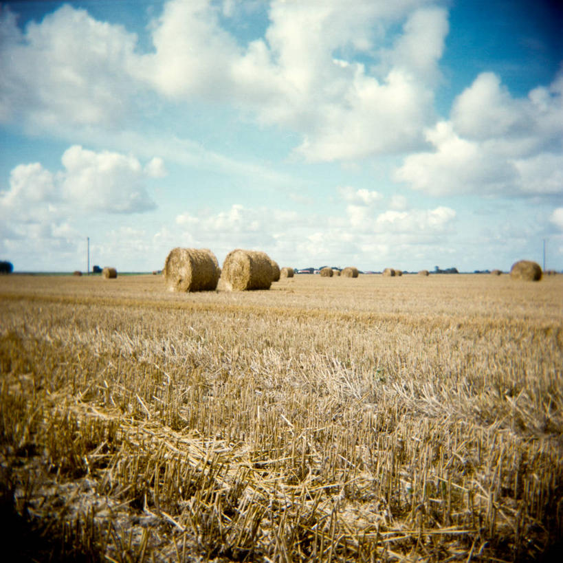 无人,方图,室外,白天,农业,美景,德国,景观,田地,云,干草,自然,草垛,景色,卷起,摄影,收获,宁静,自然风光,干草垛,彩图