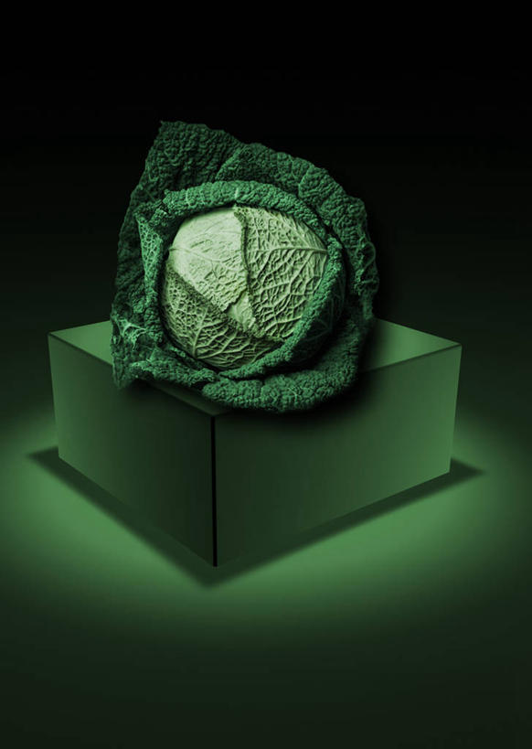 无人,竖图,黑色背景,饮食,盒子,一个,摄影,单个,聚光灯,羽衣甘蓝,健康食物,想法,彩图,影棚拍摄