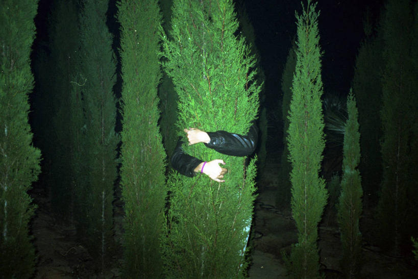 成年人,手,一个人,横图,室外,夜晚,西班牙,仅一个女性,树,自然,人体,摄影,生长,宁静,部分,关爱,巴伦西亚省,拥抱,彩图,爱