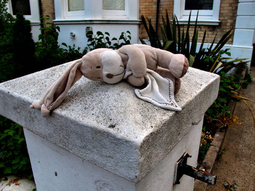 无人,横图,室外,特写,白天,植物,英国,欧洲,大门,英格兰,童年,摄影,毛绒玩具,西欧,大不列颠,大不列颠及北爱尔兰联合王国,大不列颠及爱尔兰联合王国,萨塞克斯,萨塞克斯郡,苏塞克斯,东萨塞克斯郡,彩图,大不列颠王国,大英帝国,联合王国,日不落帝国